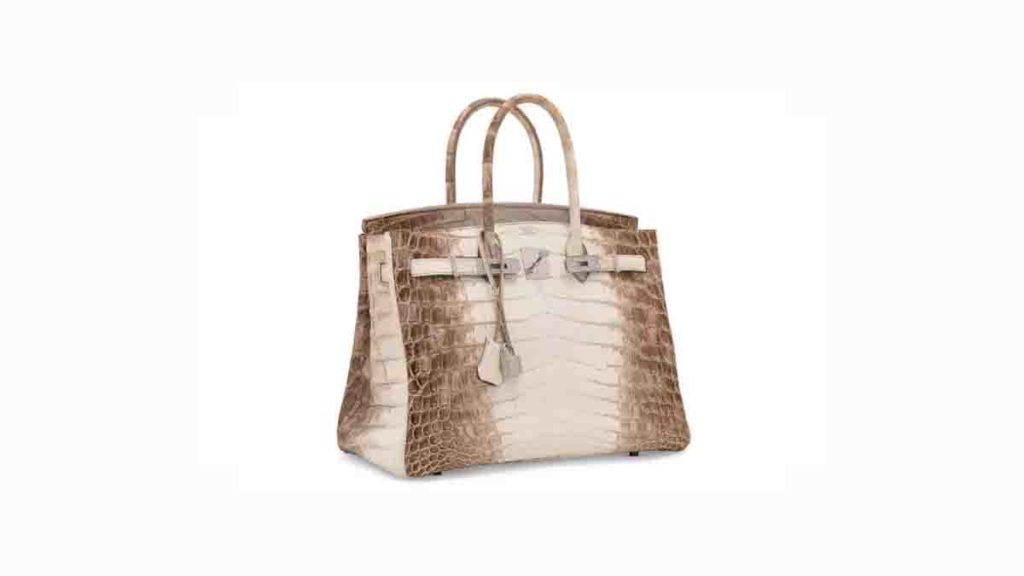 NILOTICUS CROCODILE HIMALAYA BIRKIN