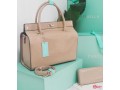 designers-handbag-small-0