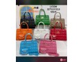 ladies-bags-small-0