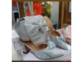 ladies-shoe-and-bag-small-0