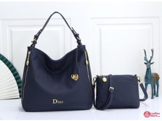 Dior 2 in 1 Bag