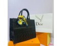 luxury-dior-handbag-small-0